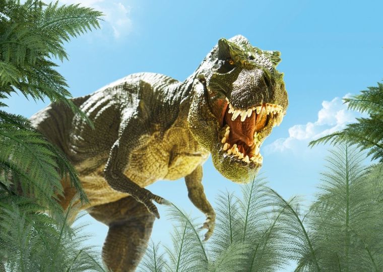 A Caccia di Dinosauri